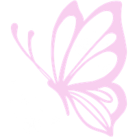 蝶